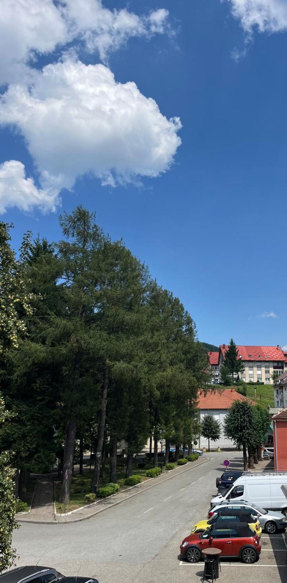 Hotel Dulovic Mojkovac Eksteriør bilde